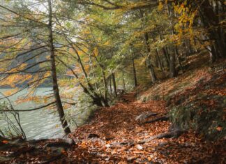 Susurluk Yol Tarifi İle Keşfedilecek Gizli Lezzet Durakları