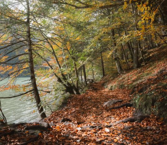 Susurluk Yol Tarifi İle Keşfedilecek Gizli Lezzet Durakları