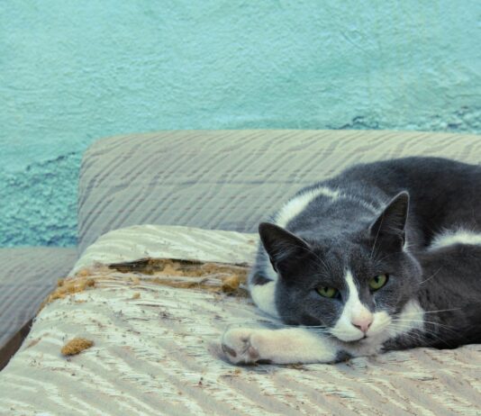 Susurluk Belediye Dinlenme Tesisi Nerede ve Neden Önemli?