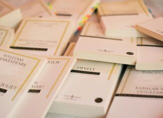 Susurluk Devlet Hastanesi’nde Sağlıkta Mükemmelliğin Sırları Neler?