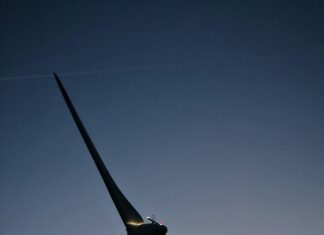 Yasa Susurluk Nedir? Şaşırtıcı Gerçekler ve Bilmeniz Gerekenler