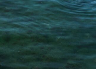 Bandırma Susurluk Arası Kaç Km? Uzun Yolculukta Bilinmesi Gerekenler